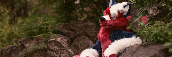 ZackHusky Profile Banner