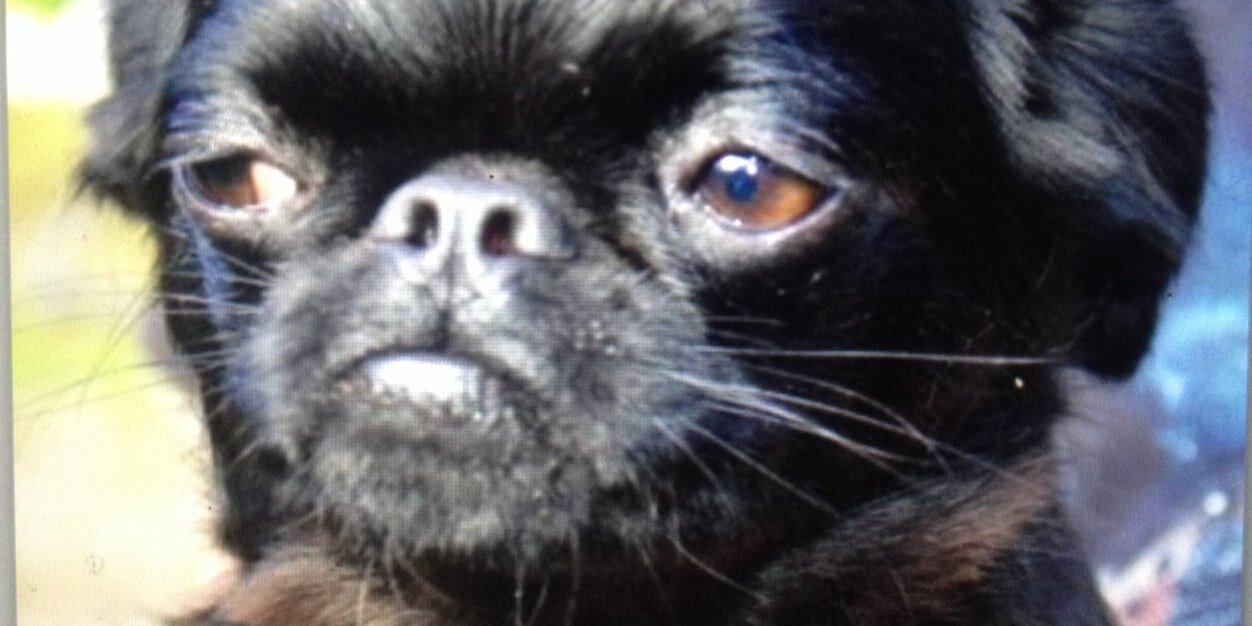 Adelinabonn's profile banner image
