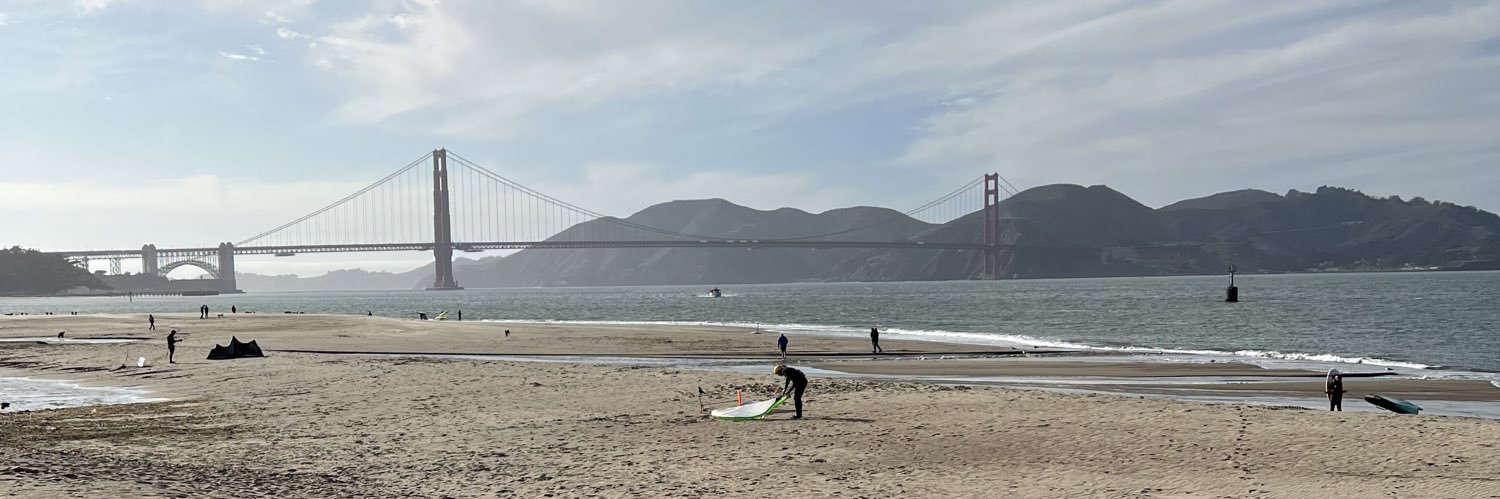 Rene Saul banner
