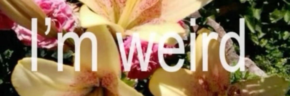 𝐡𝐚𝐩𝐩𝐢𝐭𝐚𝐧𝐧𝐢𝐞* ᴀʀɪʀᴀɴɢ banner