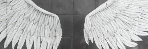 somi_se's profile banner image