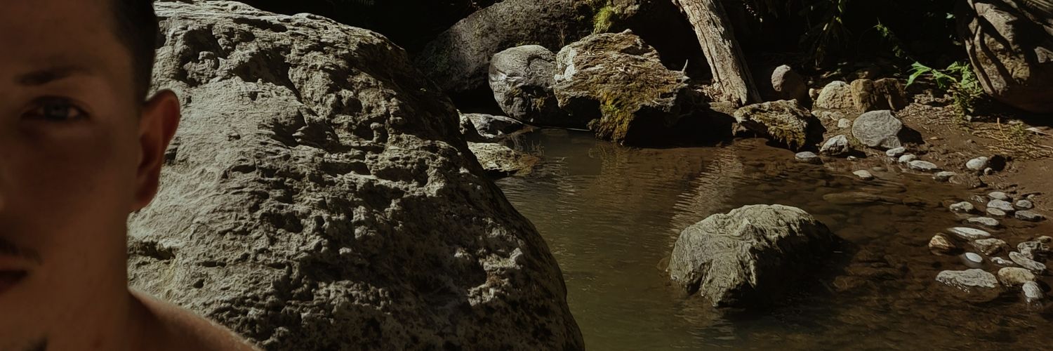 silviafalmeida's profile banner image