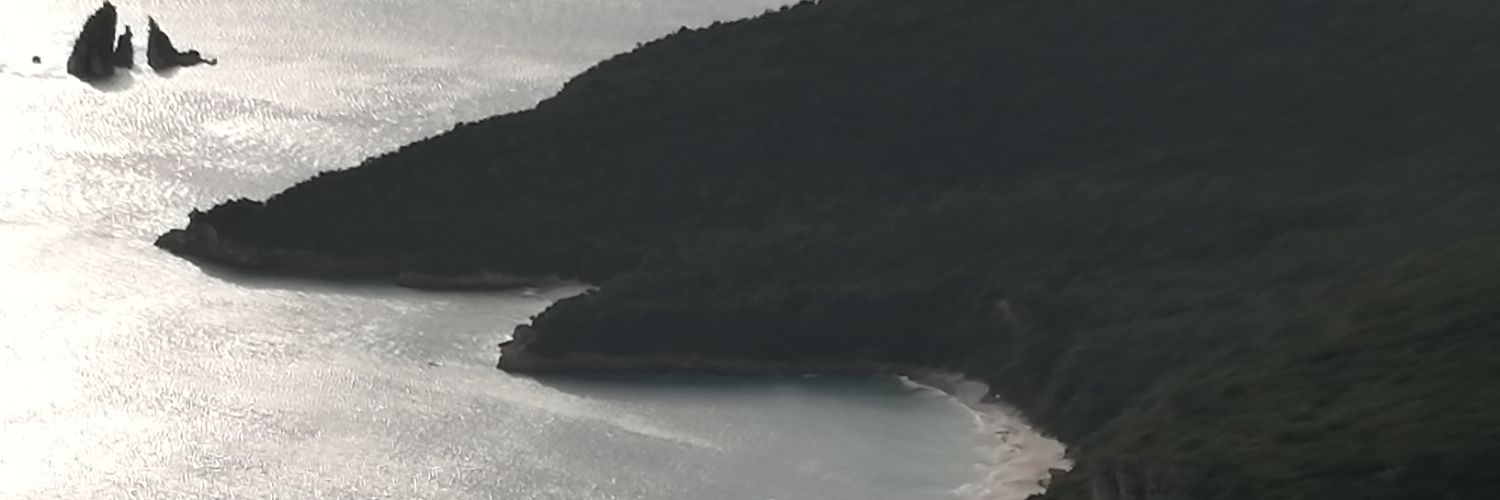 Leão da Arrábida banner