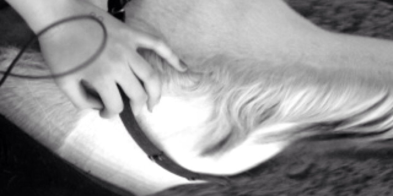 romypostelmans's profile banner image