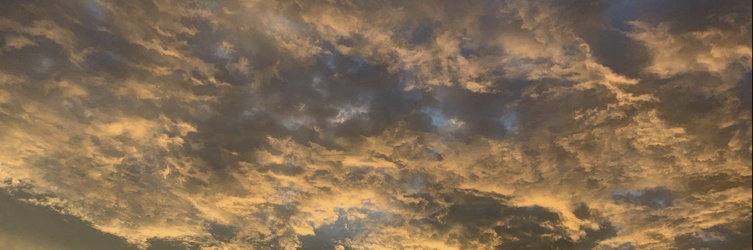 𝙋𝙖𝙥𝙞𝘾𝙝𝙪𝙡𝙤 🍅🤍 banner