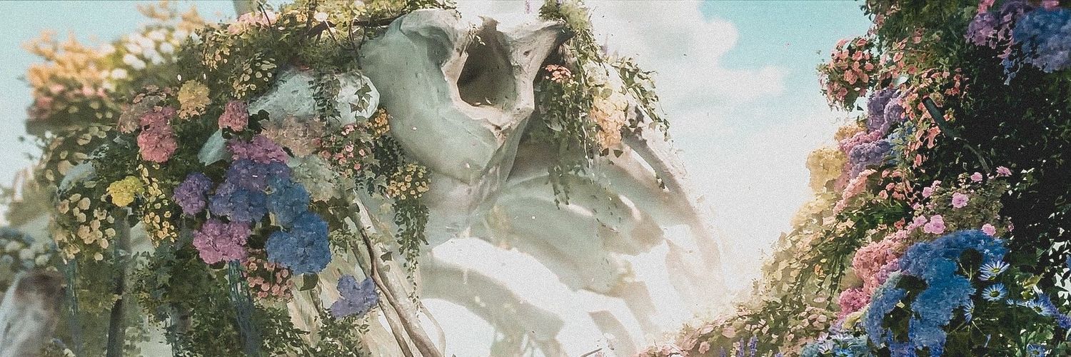 Astrelis 🌌 || CF22 Q-04 banner
