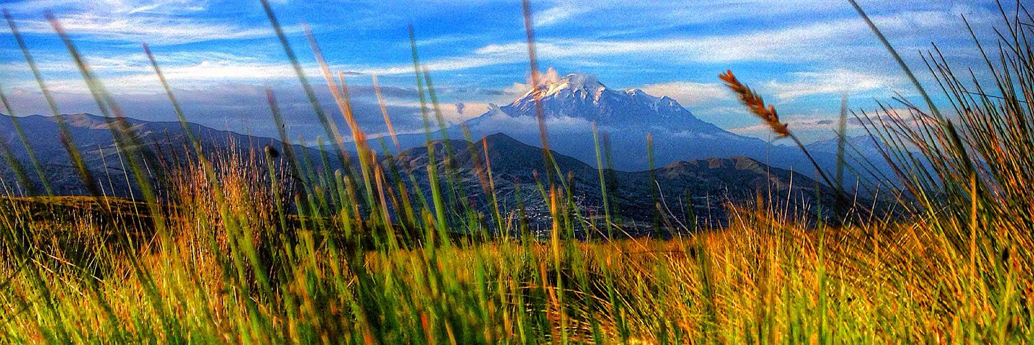 TitiMiranda's profile banner image