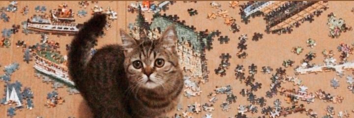 aixinesin's profile banner image