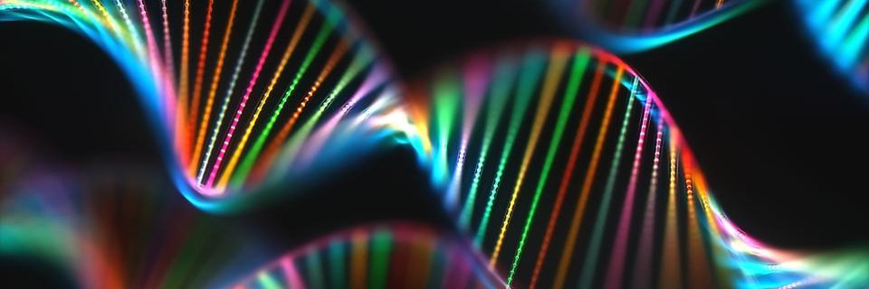 UTEPBIOINFO's profile banner image