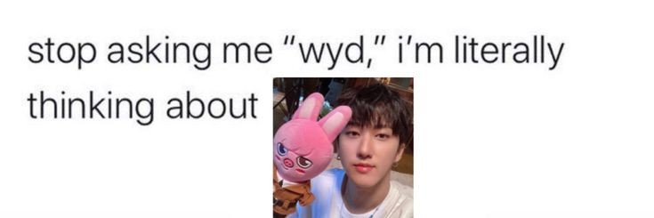 SpBinnie0's profile banner image
