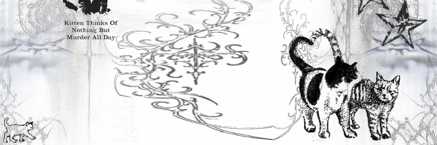 Taylor 💿 ˚. ༘⋆ .COMMS OPEN banner