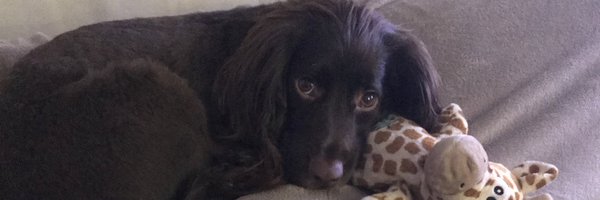 LisaSla50353205 Profile Banner