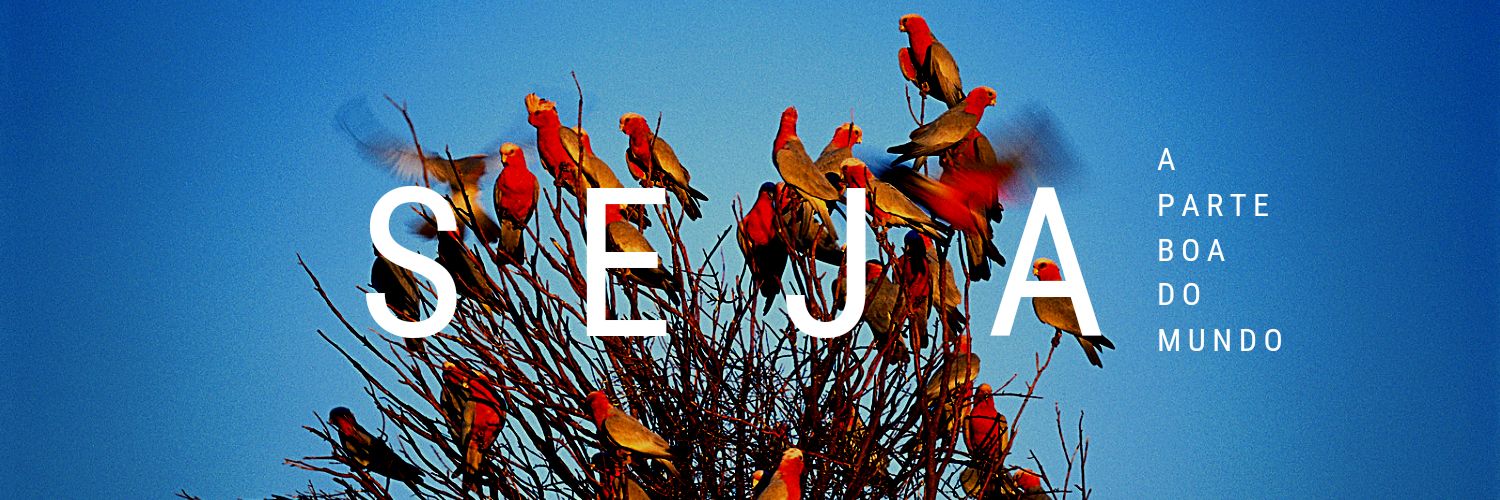 Macielvine's profile banner image