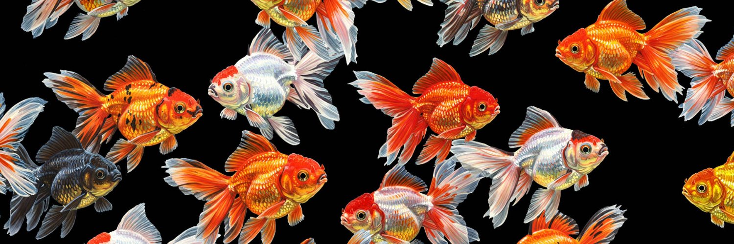 Lidra 🇹🇭🇪🇸 banner