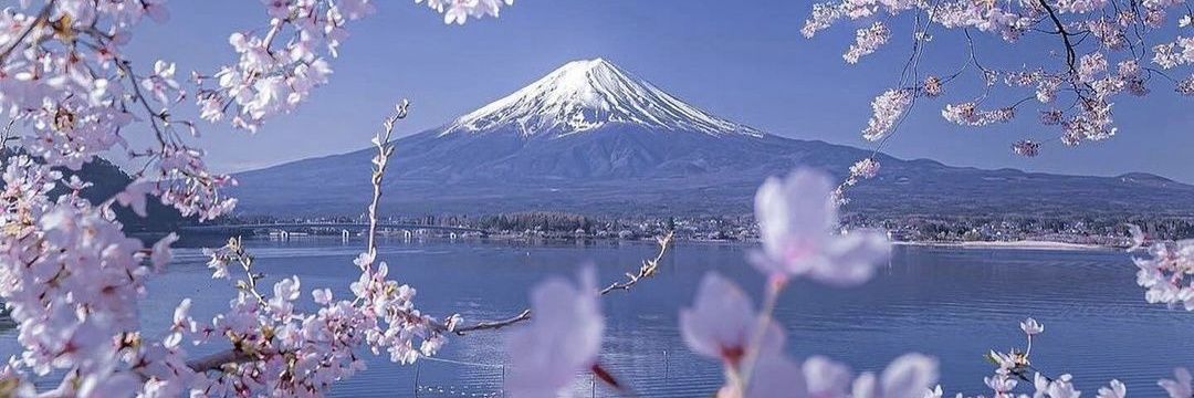 🇨🇵 Gauloise réfractaire Ⓩ #JamaisSansZemmour banner