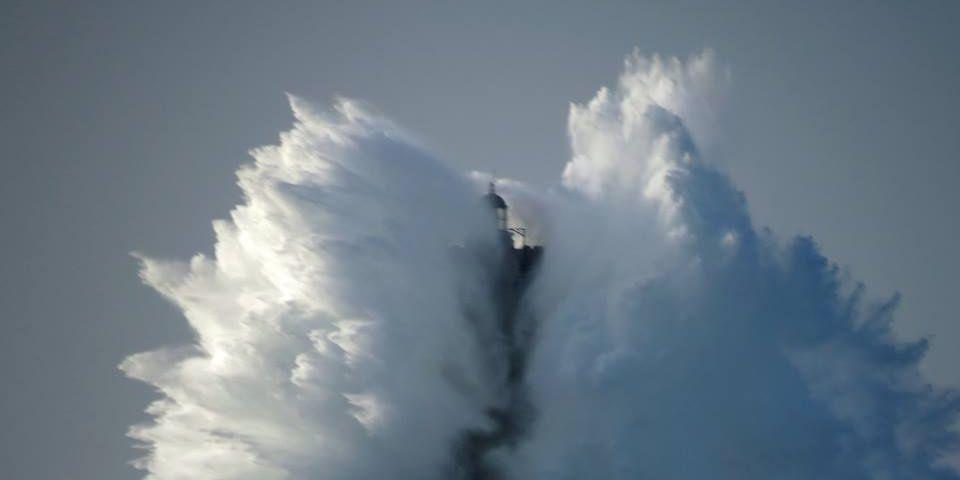 poulain495's profile banner image