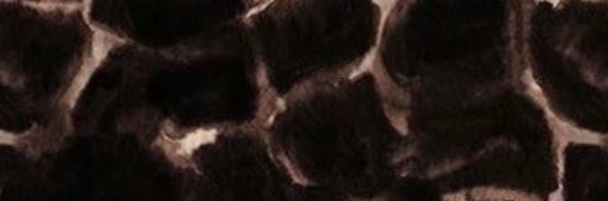 hannahclee_3's profile banner image