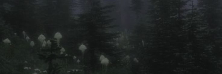61 banner