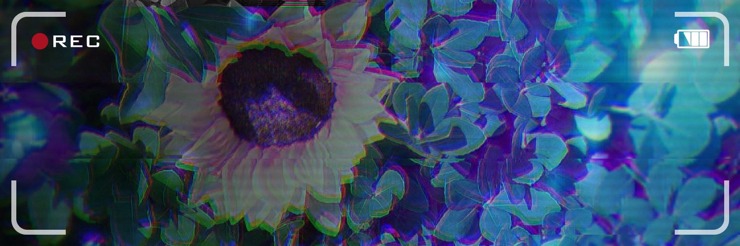 meshi_sub's profile banner image