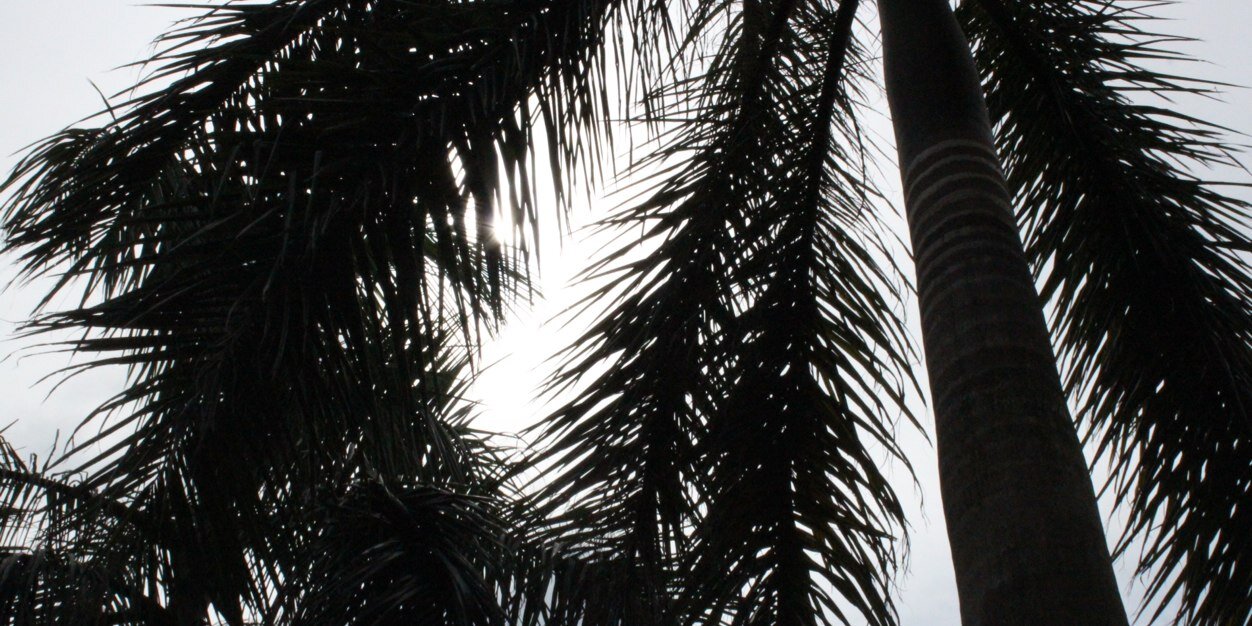 ROMKE_'s profile banner image