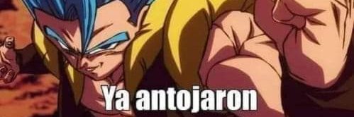 eifiemoth (COMMS OPEN) 🇲🇽 banner