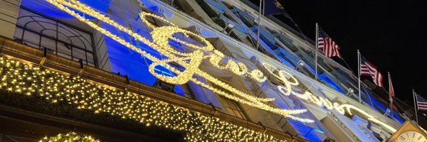 DanielleDanburg Profile Banner