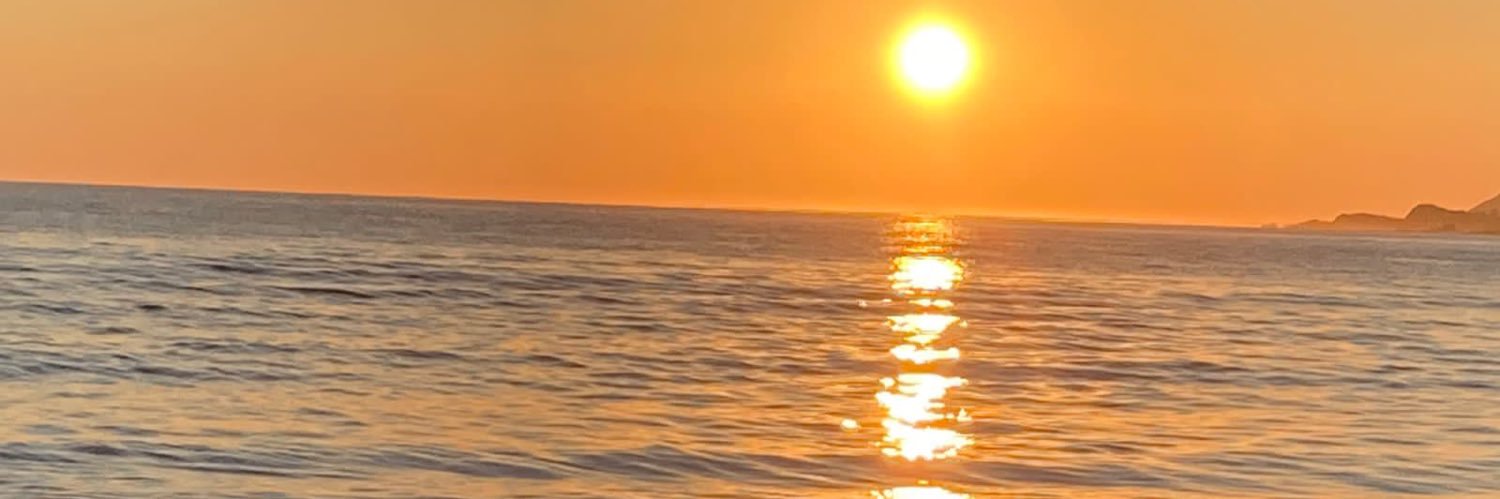 Caroldufe's profile banner image