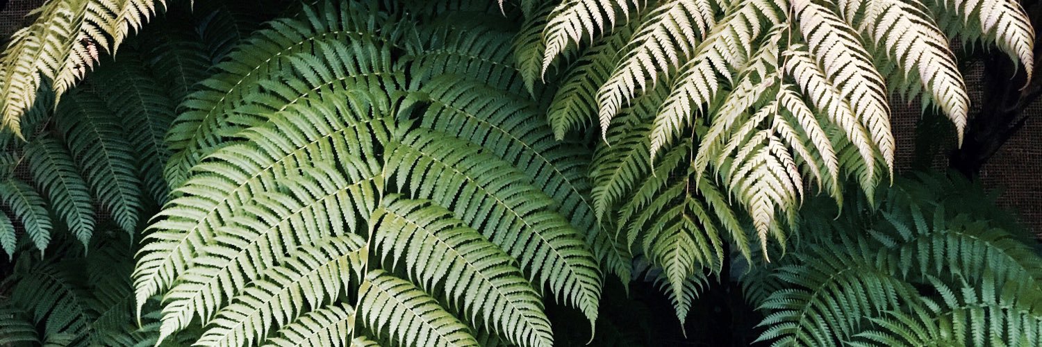 lee van aranton banner