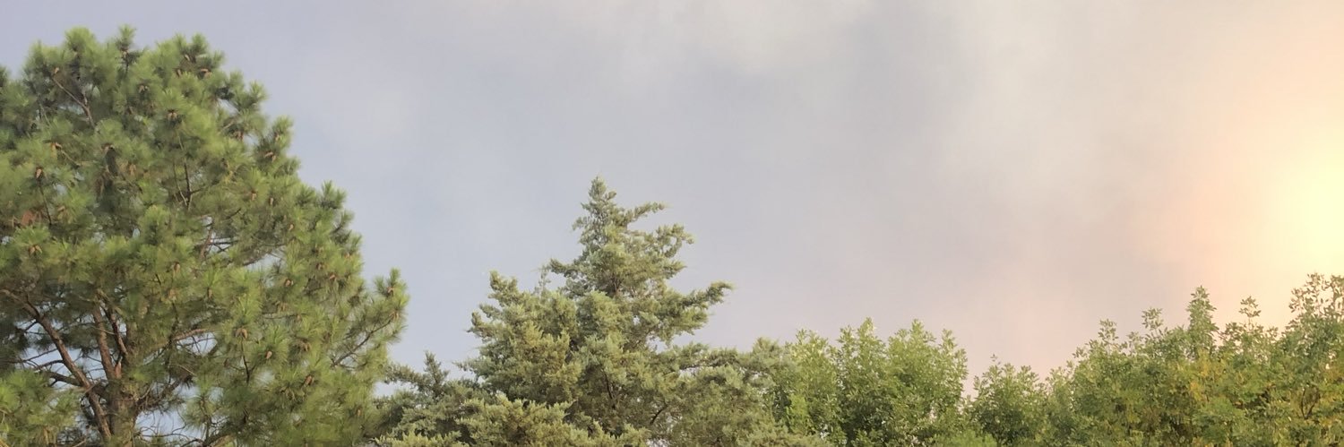 luchiderosa's profile banner image