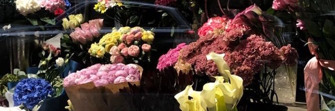 bknkansa's profile banner image