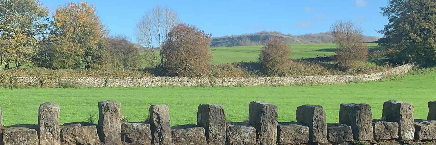 The_Dalesbridge banner