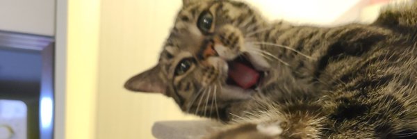 JakeSeo8 Profile Banner