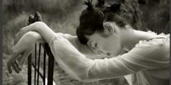 رهف العامري banner