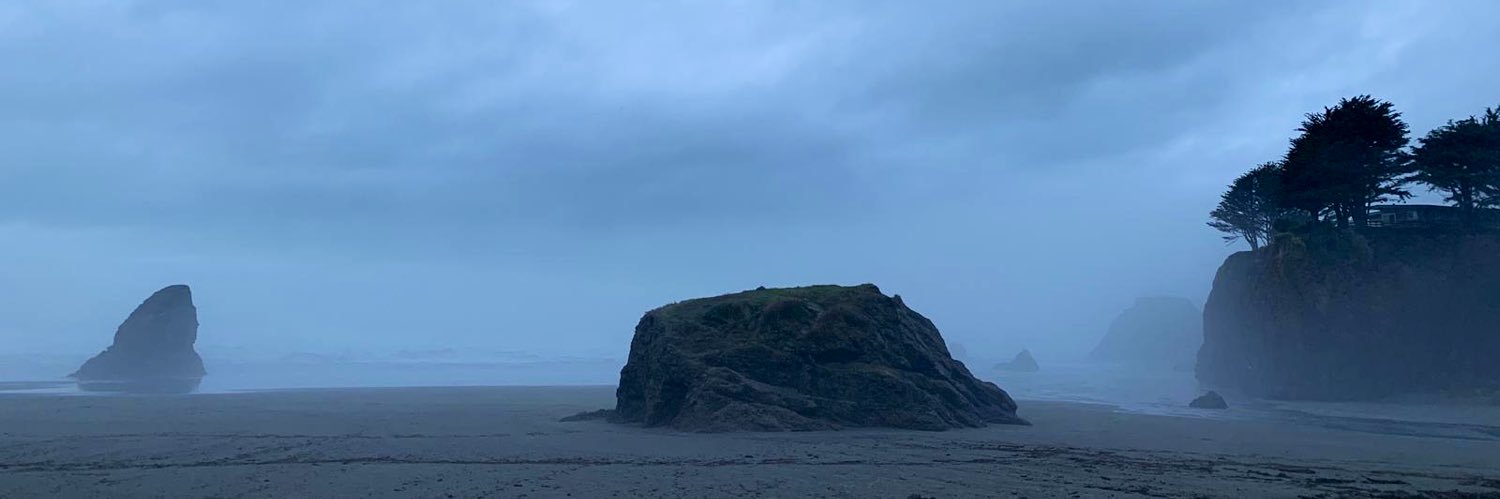 theOddRedBit's profile banner image