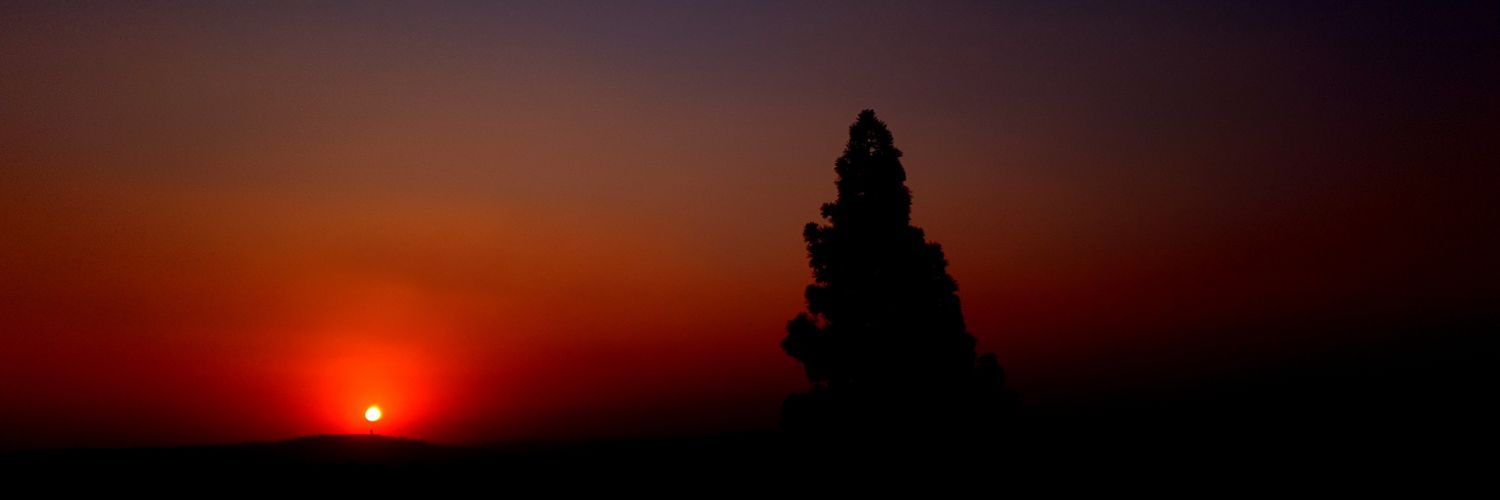 That_ladie's profile banner image