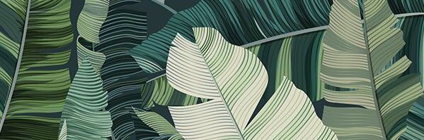 kxllzc's profile banner image