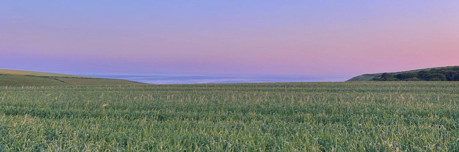 emptyfishcake's profile banner image