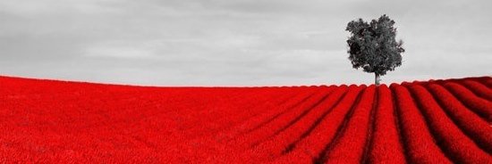 matik1617's profile banner image