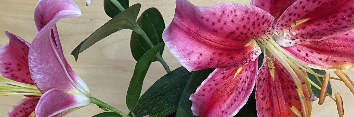 Dr Rebekah Fitzsimmons banner