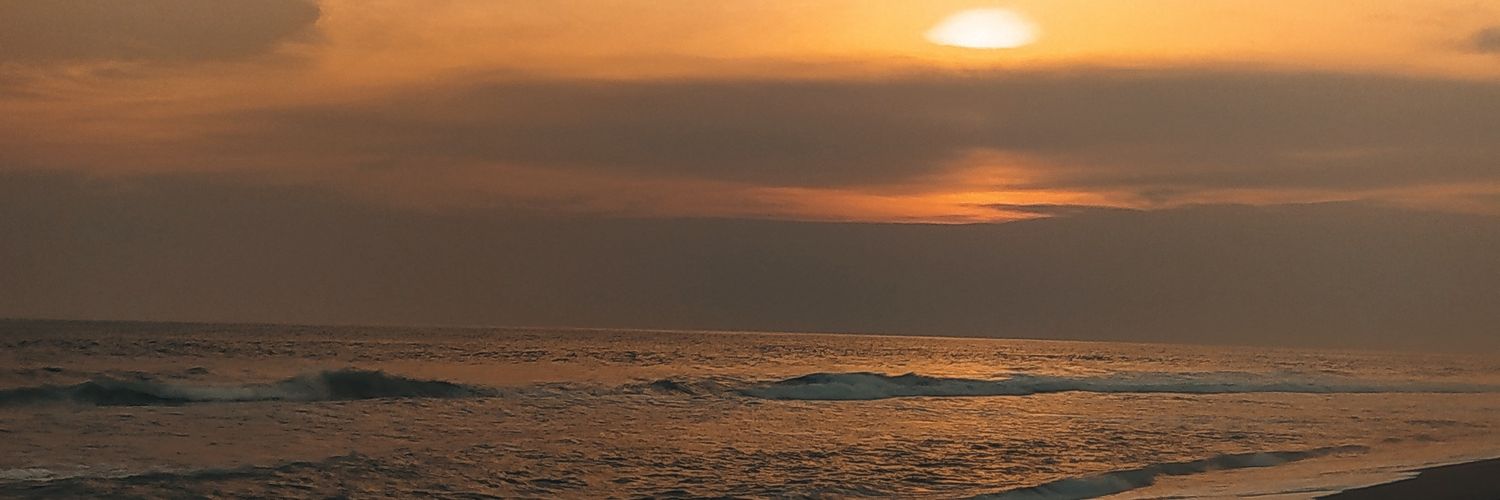 neverletzy's profile banner image