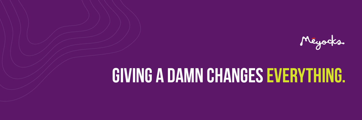 Meyocks banner