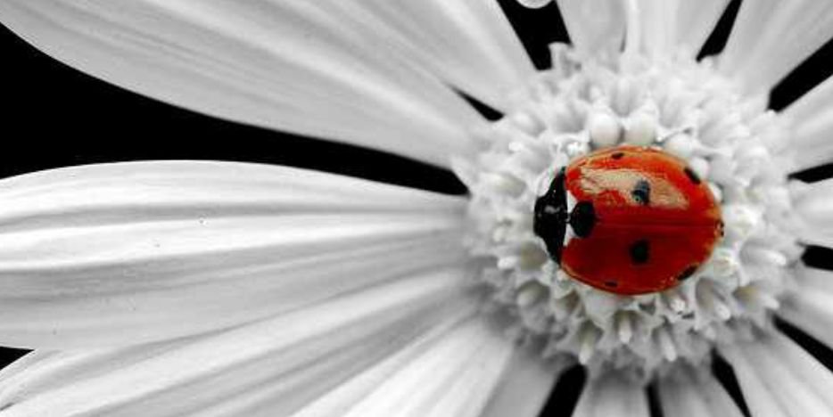 Queenyazz's profile banner image