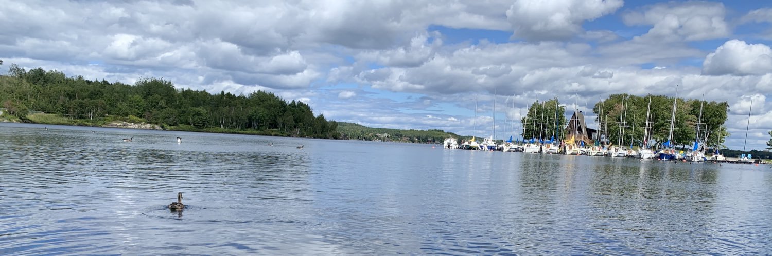 Frédéric Projean banner