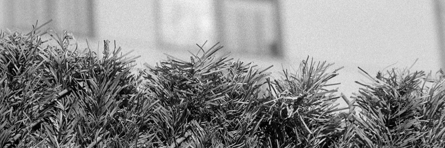 KAIMCBRIDE's profile banner image