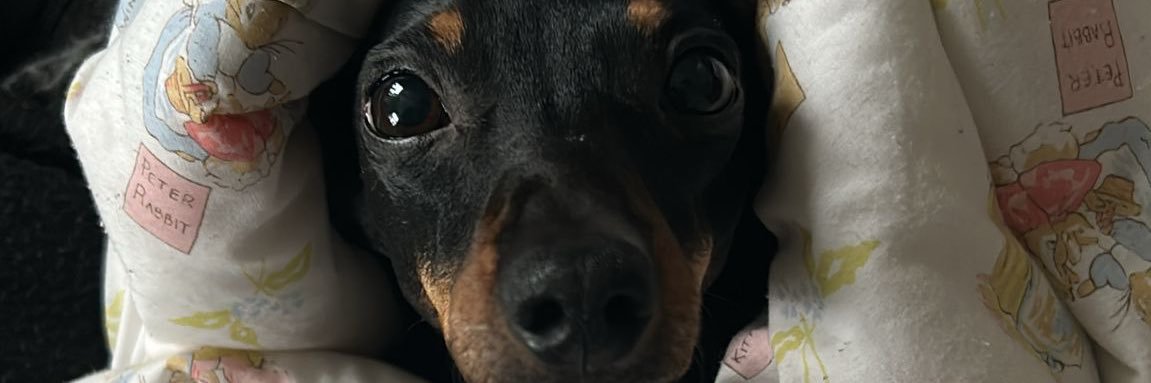 _emmypie's profile banner image