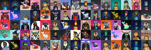 blockchainbob Profile Banner
