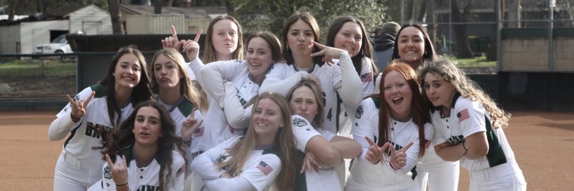 Analeez Niles banner