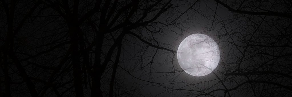 mauricedewert's profile banner image