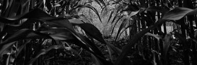 Worthlessknee's profile banner image