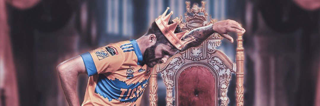 tigremir's profile banner image
